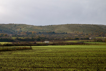 Vista panorámica de campos trabajados en el sur de Italia, en la región de la Puglia.