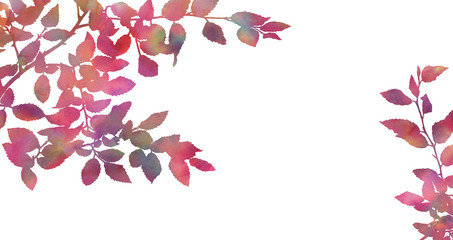 Autumn branches isolated on a white background. Decorative horizontal image for creative design of cards, invitations, banners, websites, posters. Hand painted watercolour illustration. Bright colours
