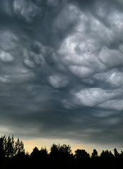 Asperitas clouds - the newest cloud type - before the storm. Belarus.