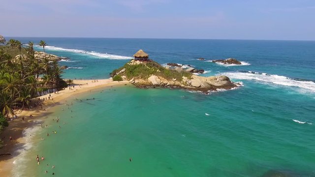 tayrona nature park in Colombia tree