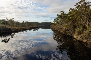 morning river reflections