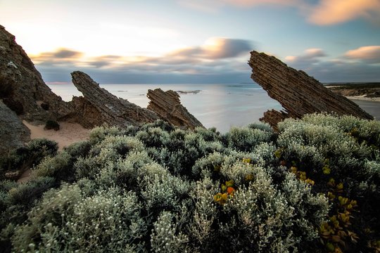 rugged sunset ocean 