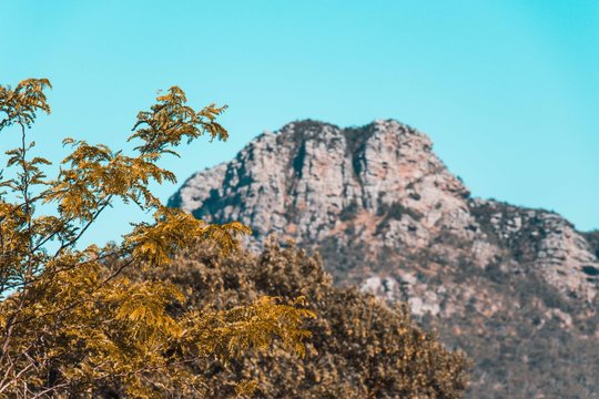 distant mountain