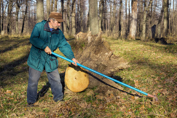 An elderly man makes tidy in an old park, raking foliage