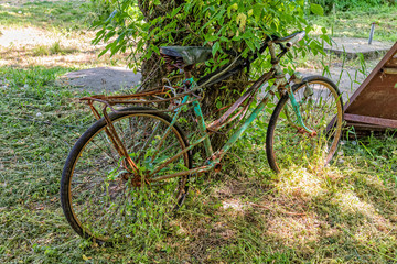 Fototapeta na wymiar An old rusty bicycle rest against a tree. This Bicycle had seen better days.