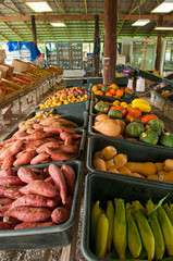 Vegetables at the Farm Stand