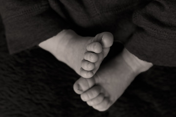 Baby Feet Black and White Baby Toes Newborn Infant