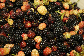 red and black pepper