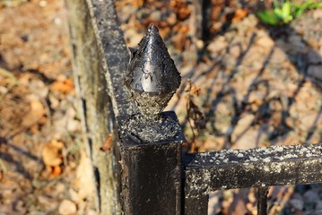 part of a black iron shabby and dirty barrier in a cemetery on a brown background