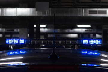 rear view of the lights of a police car in blue.