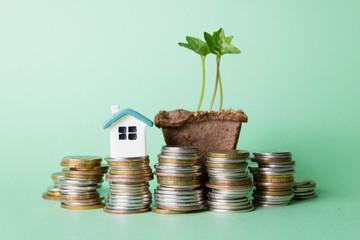 Miniature house, a lot of coins, peat pot with flower
