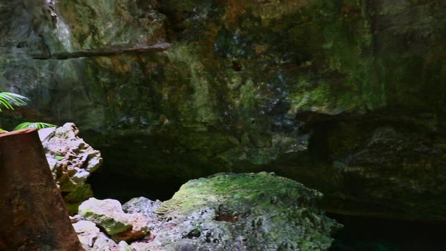 dive into the cenotes, Yucatan, Mexique.
