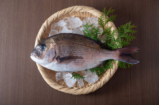 Tai, japanese fresh whole snapper on bamboo leaves
