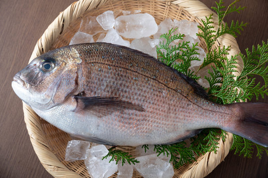 Tai, japanese fresh whole snapper on bamboo leaves