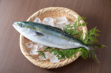 Inada, japanese whole raw yellow tail