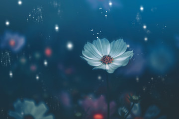 Dramatic flower background; Nature Background