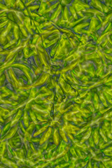 Abstract fractal background Brown Spiral Oriental Garden computer-generated image. Fractal digital artwork for creative graphic design.