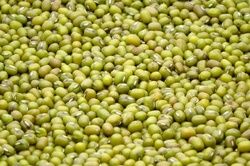 Mung beans eaten as soup or congee. In traditional Chinese medicine, mung beans are 