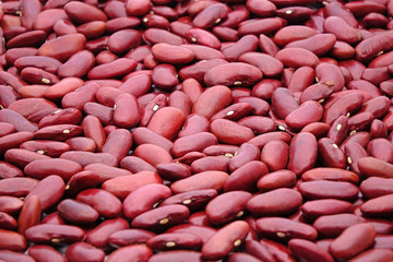 Red kidney beans background, selective focus. In Traditional Chinese Medicine Kidney Beans are known for tonify blood and tonify yin, help to clear heat, resolve dampness, and regulate water.