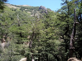 Trekking al refugio Frey, Patagonia Argentina