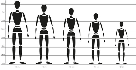 Canon y proporciones en centímetros del cuerpo humano según estatura, a escala. - obrazy, fototapety, plakaty
