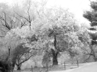 RAW pics available for all of my pics.