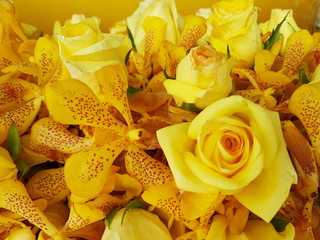 Obraz na płótnie Canvas bouquet of yellow roses