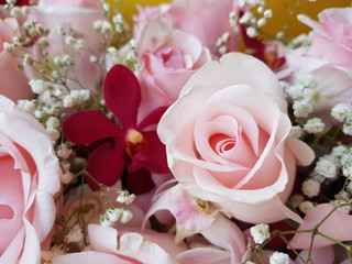 bouquet of pink roses