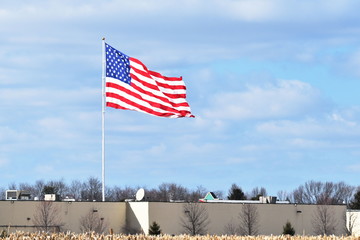 Big Flag over the Mall