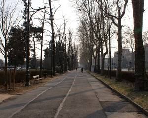 Obraz premium Walking path in the spring