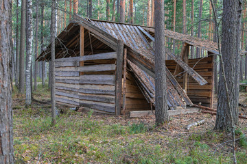 Siberia. Ruined old wooden house in the forest, from the effects of natural rainfall and time. The collapsed roof of an old house.