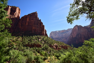 Giant nature in Zion