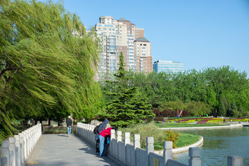 Spring Summer green forest