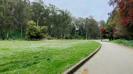 The View of Peaceful Sigmund Stern Glove Dog Park in San Francisco California 