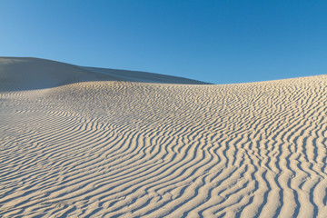 Naklejka na ściany i meble White sand dunes in Western Australia with blue sky
