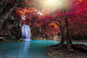 Scenic view of Waterfall in autum forest nature