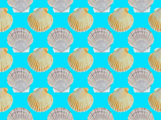 Shells of scallop, seamless pattern.