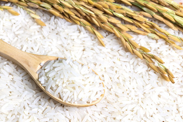 White rice in wooden spoon on rice background. Natural food high in protein. (Thai Jasmine rice) 