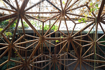 Exterior design and architecture of Wooden igloo house villa among green garden park