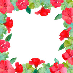 Watercolor illustration, frame flowers, red geranium,greeting card, invitation