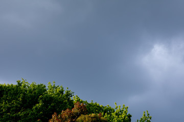 雨雲が迫ってくる空の様子