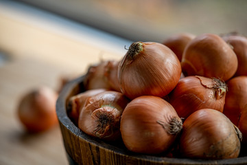 Fresh ripe onions in wooden bucket.