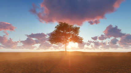 A beautiful Desert on Sunset with tree. 3d realistic