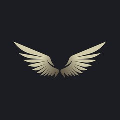 Fototapeta na wymiar Wing logo vector icon