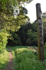 Naklejka premium 新治市民の森
