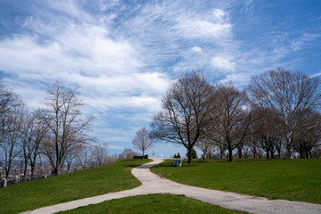 Scenic view of outdoor park during spring with clear blue skies 