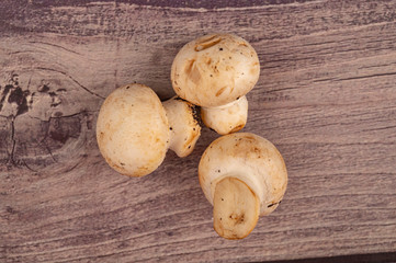 Young mushrooms scattered on a wooden background. Close up.