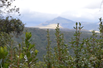 Fototapeta premium Ilinizas, Ecuador.