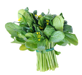 chinese spinach
