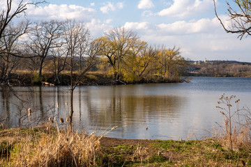 Waterfront Landscape with Vibrant Nature Views 